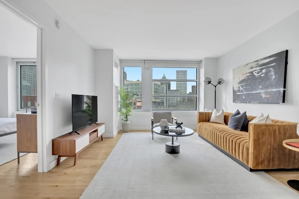 1 bedroom apartment for rent in Downtown Brooklyn - Brooklyn, New York