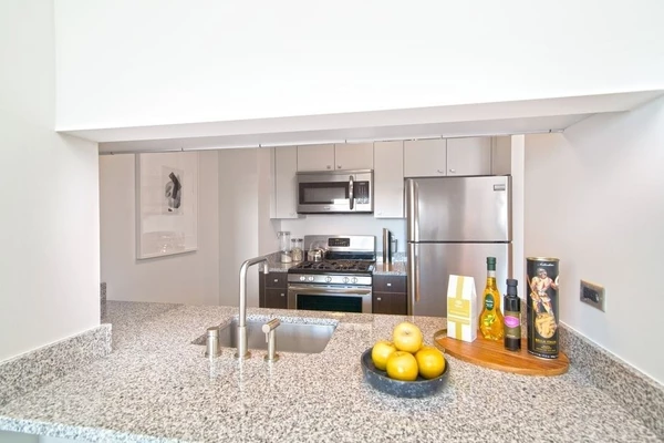 Studio Apartment for rent in LIC - Queens, New York