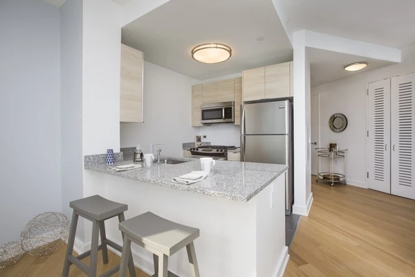 Studio Apartment for rent in LIC - Queens, New York