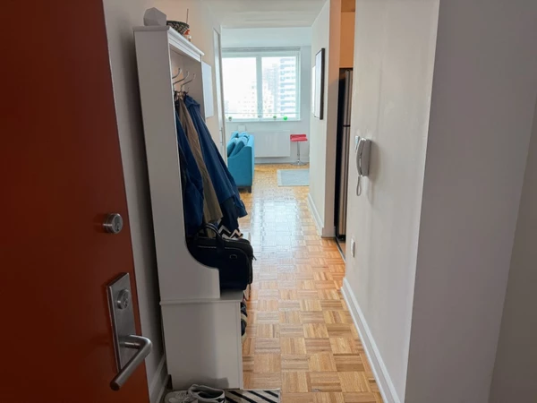 Studio Apartment for rent in LIC - Queens, New York
