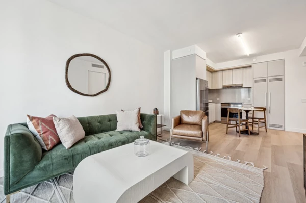 1 bedroom apartment for rent in Downtown Brooklyn - Brooklyn, New York