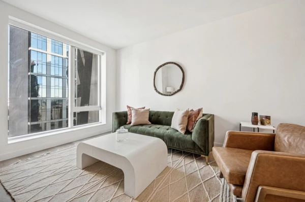 1 bedroom apartment for rent in Downtown Brooklyn - Brooklyn, New York