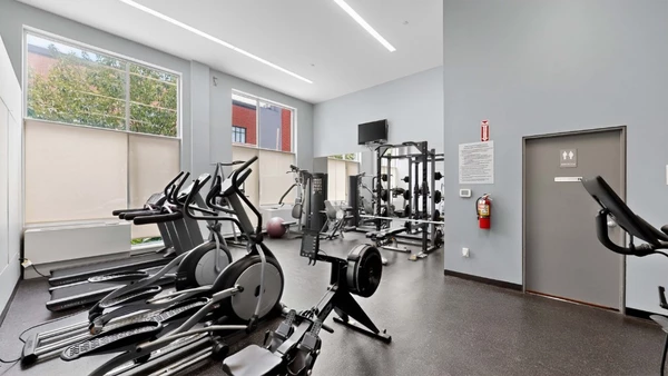 1 bedroom apartment for rent in LIC - Queens, New York
