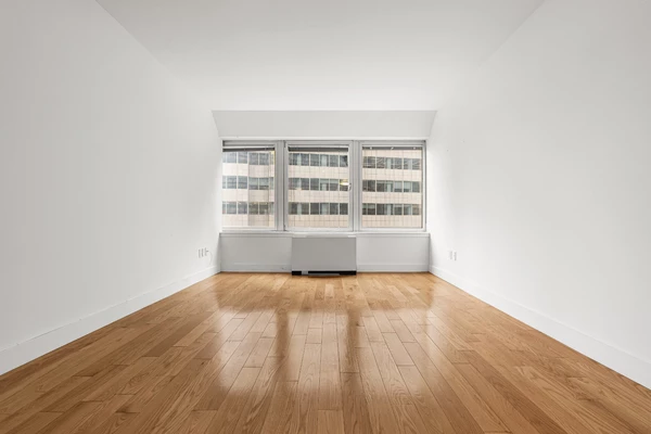 Studio Apartment for rent in FiDi - Manhattan, New York