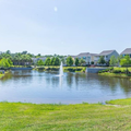 Room for rent in Winter Springs #15