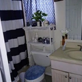 Room for rent in Longwood #2