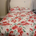Room for rent in Longwood #3