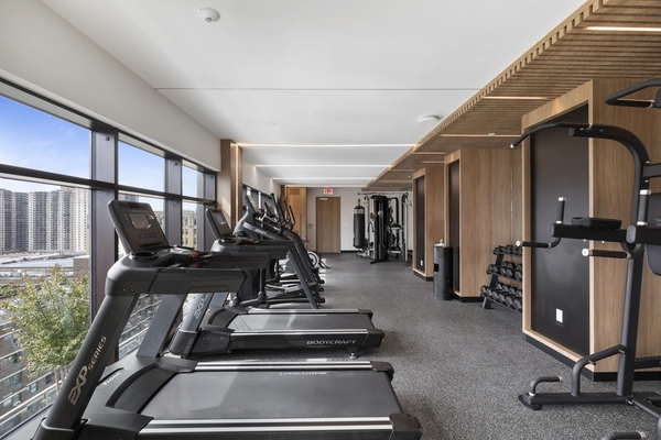 1 bedroom apartment for rent in Concourse Village - The Bronx, New York