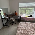 Room for rent in Town 'n' Country #2