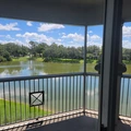 Room for rent in Wesley Chapel #1