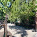 Room for rent in Midtown West #22