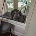 Room for rent in Capital Hill #3