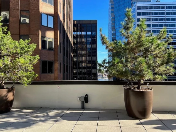 2 bedrooms apartment for rent in FiDi - Manhattan, New York