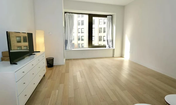 Studio Apartment for rent in FiDi - Manhattan, New York