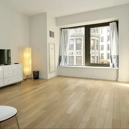 Studio Apartment for rent in FiDi - Manhattan, New York