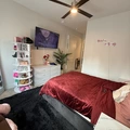 Room for rent in River Oaks #4
