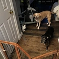 Room for rent in Lawrenceville GA #5