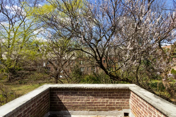 2 bedrooms apartment for rent in Sunnyside - Queens, New York