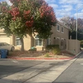 Room for rent in Las Vegas #1