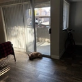 Room for rent in Las Vegas #4