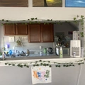 Room for rent in Remington #4