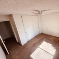 Room for rent in Paradise #3