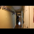 Room for rent in High Park #5