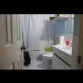 Room for rent in High Park #8