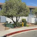 Room for rent in La Mesa #9