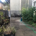 Room for rent in Oakland North #8