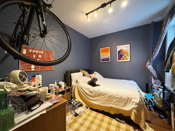3 bedrooms apartment for rent in Crown Heights - Brooklyn, New York