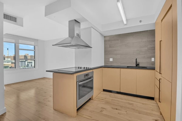 1 bedroom apartment for rent in Downtown Brooklyn - Brooklyn, New York