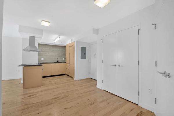 1 bedroom apartment for rent in Downtown Brooklyn - Brooklyn, New York