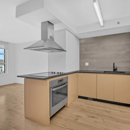 1 bedroom apartment for rent in Downtown Brooklyn - Brooklyn, New York