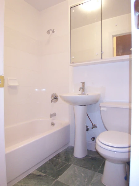1 bedroom apartment for rent in Upper West Side - Manhattan, New York
