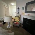 Room for rent in Morrisville #11