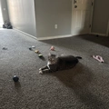 Room for rent in Overland Park #1