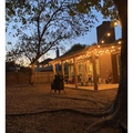 Room for rent in Round Rock #3