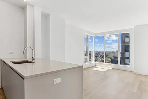 1 bedroom apartment for rent in Downtown Brooklyn - Brooklyn, New York