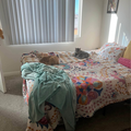 Room for rent in Echo Park #1