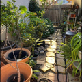 Room for rent in Costa Mesa #5