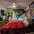 Room for rent in Littleton #1