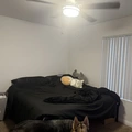 Room for rent in Irvine #3