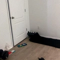 Room for rent in Kissimmee #3