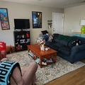 Room for rent in Jersey City #1