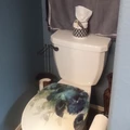Room for rent in Georgetown TX #9