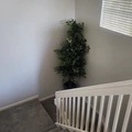 Room for rent in Boynton Beach #14