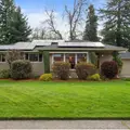 Room for rent in Hazelwood #1