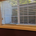 Room for rent in Hazelwood #13