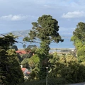 Room for rent in Presidio Heights #16